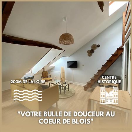 Le Cocon - Appartement En Hyper Centre ブロワ エクステリア 写真